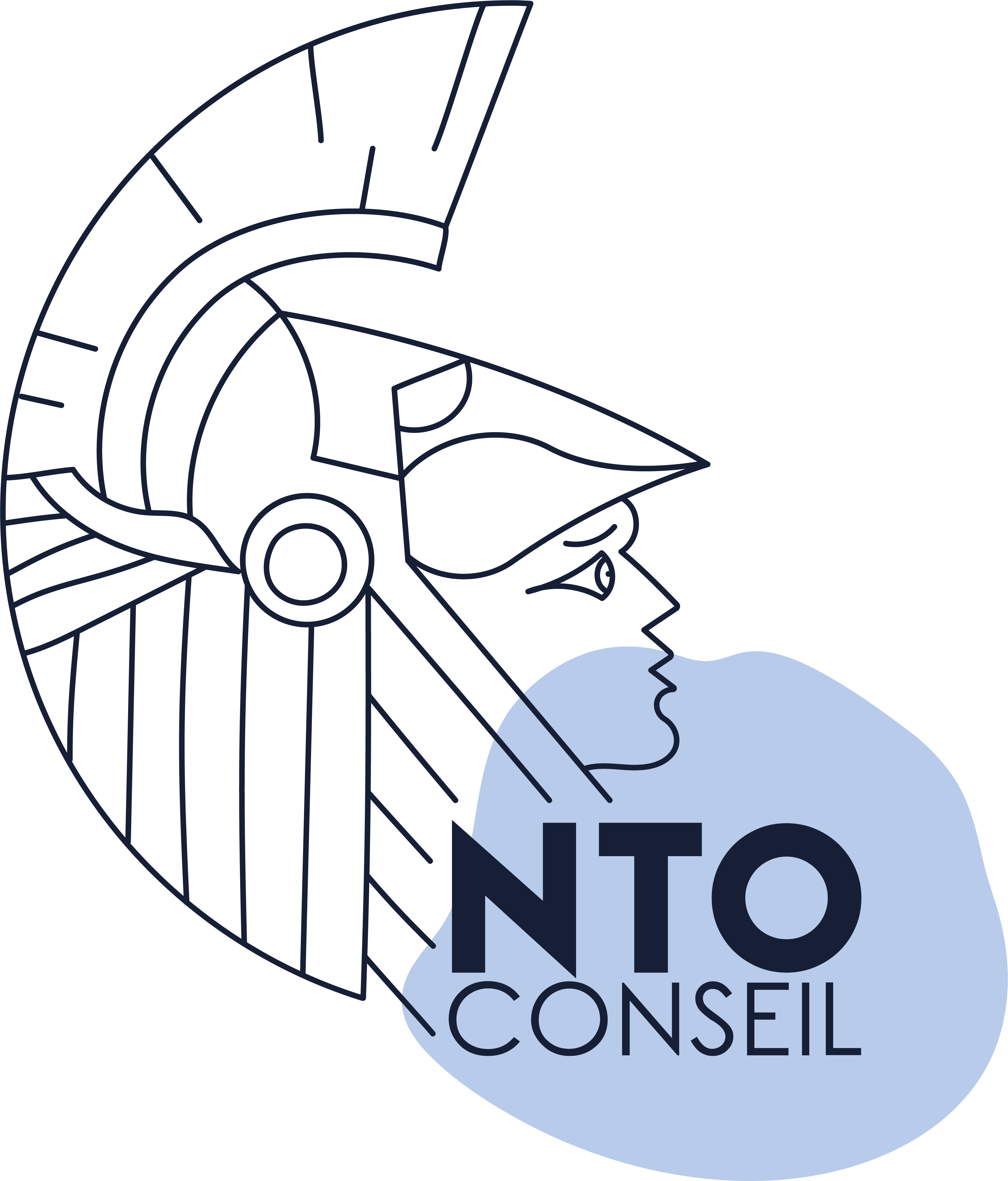 NTO-LOGOS_COMBINAISONS_MARINE CIEL